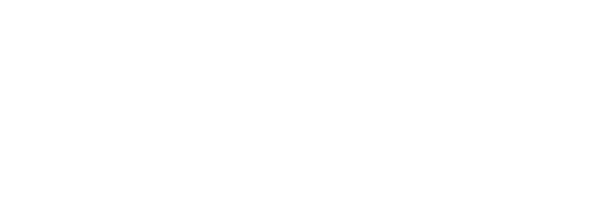 Logo der COEBIZ GmbH – Photovoltaik-Fachbetrieb aus Coesfeld im Münsterland